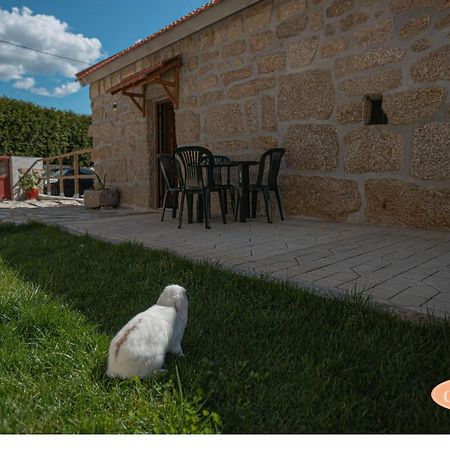 Villa Casa Das Tias à Baltar Extérieur photo