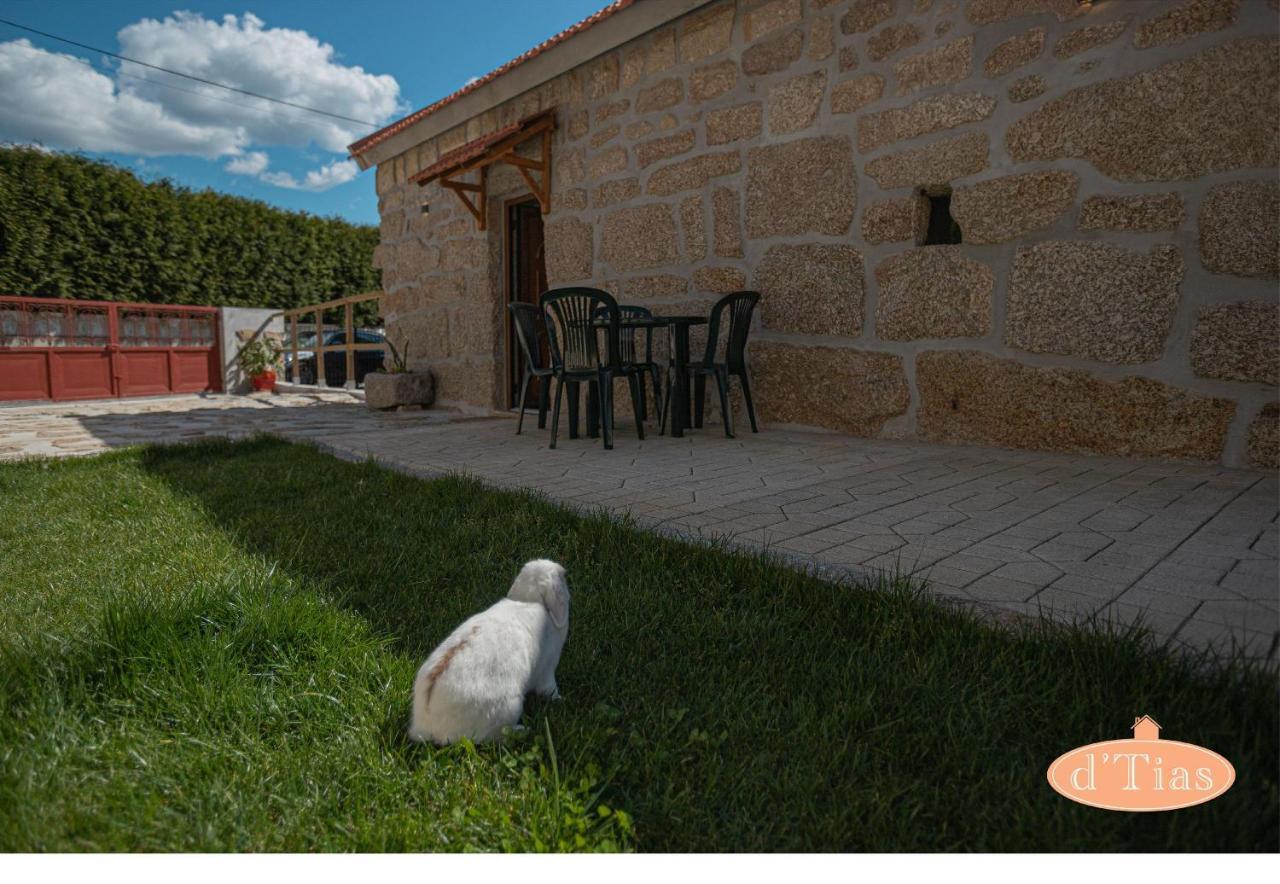 Villa Casa Das Tias à Baltar Extérieur photo