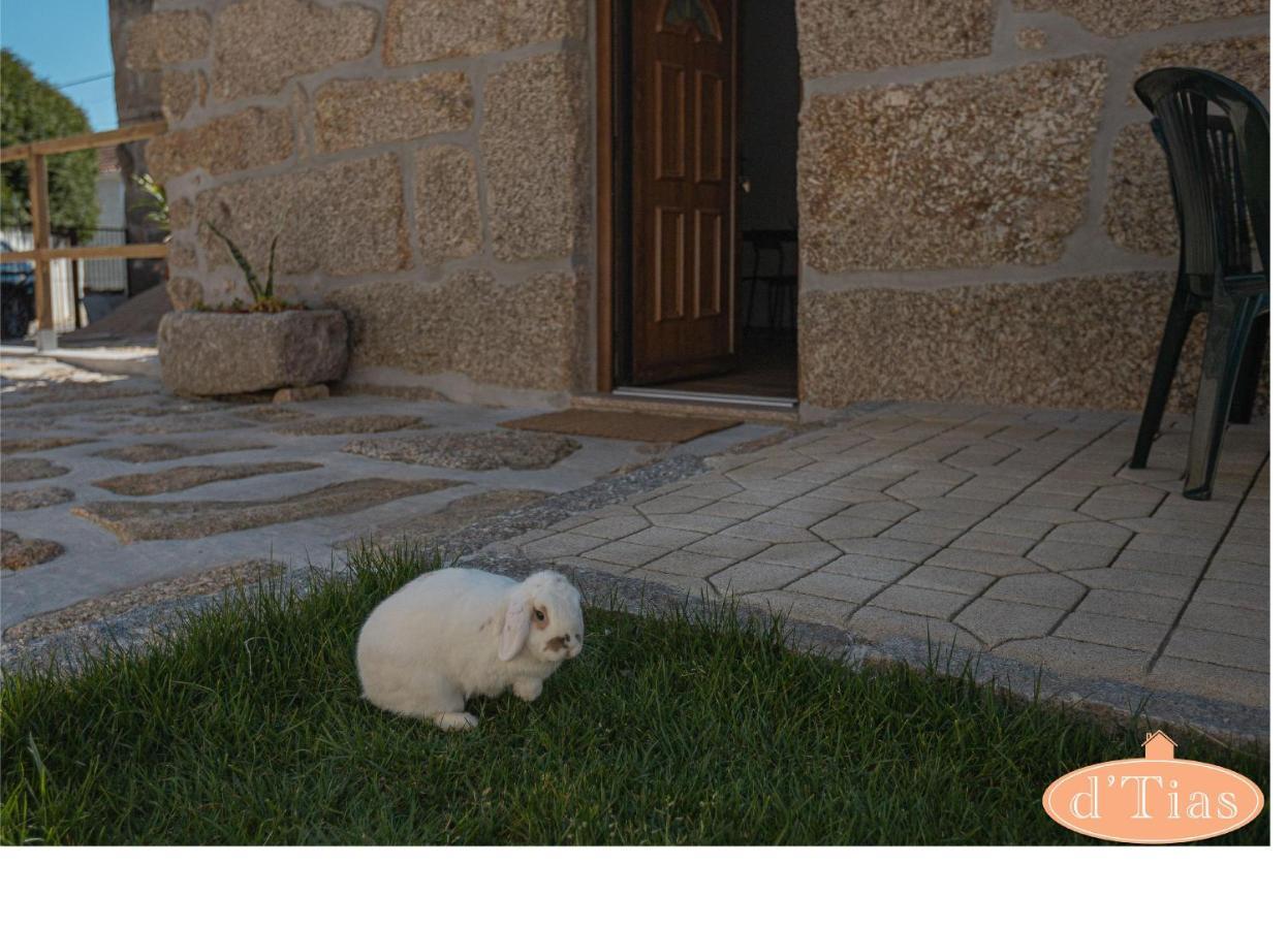 Villa Casa Das Tias à Baltar Extérieur photo